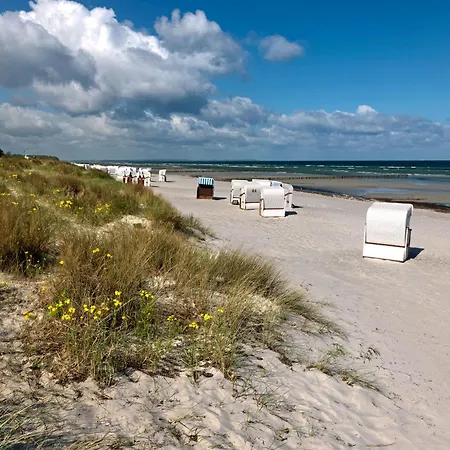 Ostsee Residenz Meeresblick Strandmuschel *