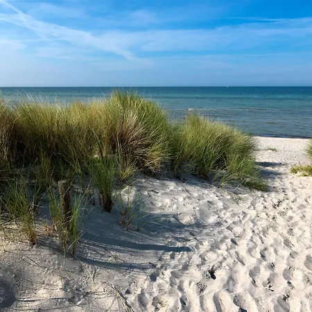 Ostsee Residenz Meeresblick Strandmuschel Poel